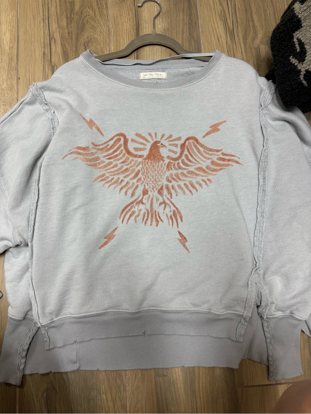 Free People Light Blue Crewneck Sweatshirt with Rust Eagle Graphic